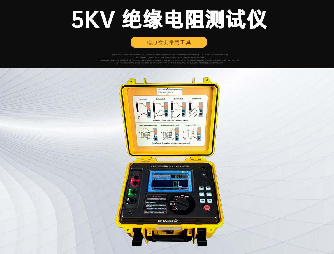 SJJY-HI绝缘电阻测试仪图片