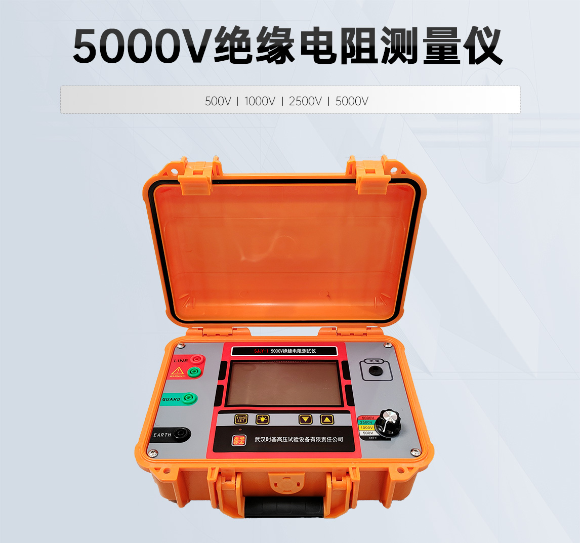 5000V绝缘电阻测量仪图片